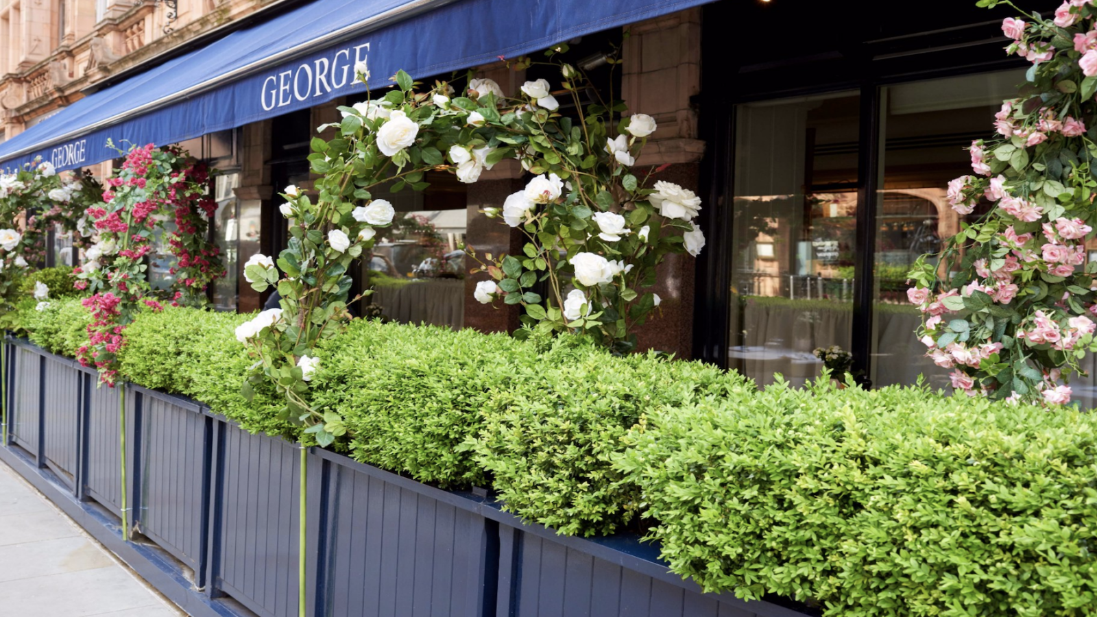 Screenshot 2023-06-15 at 11.25.10