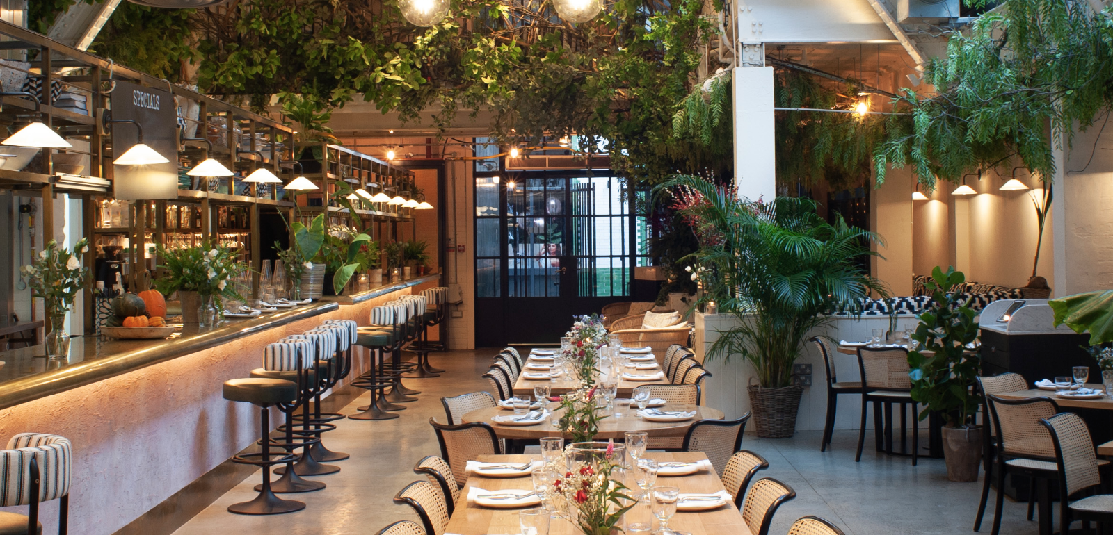 Screenshot 2023-08-31 at 11.23.25