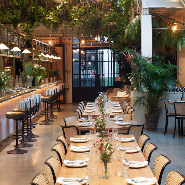 Screenshot 2023-08-31 at 11.24.45