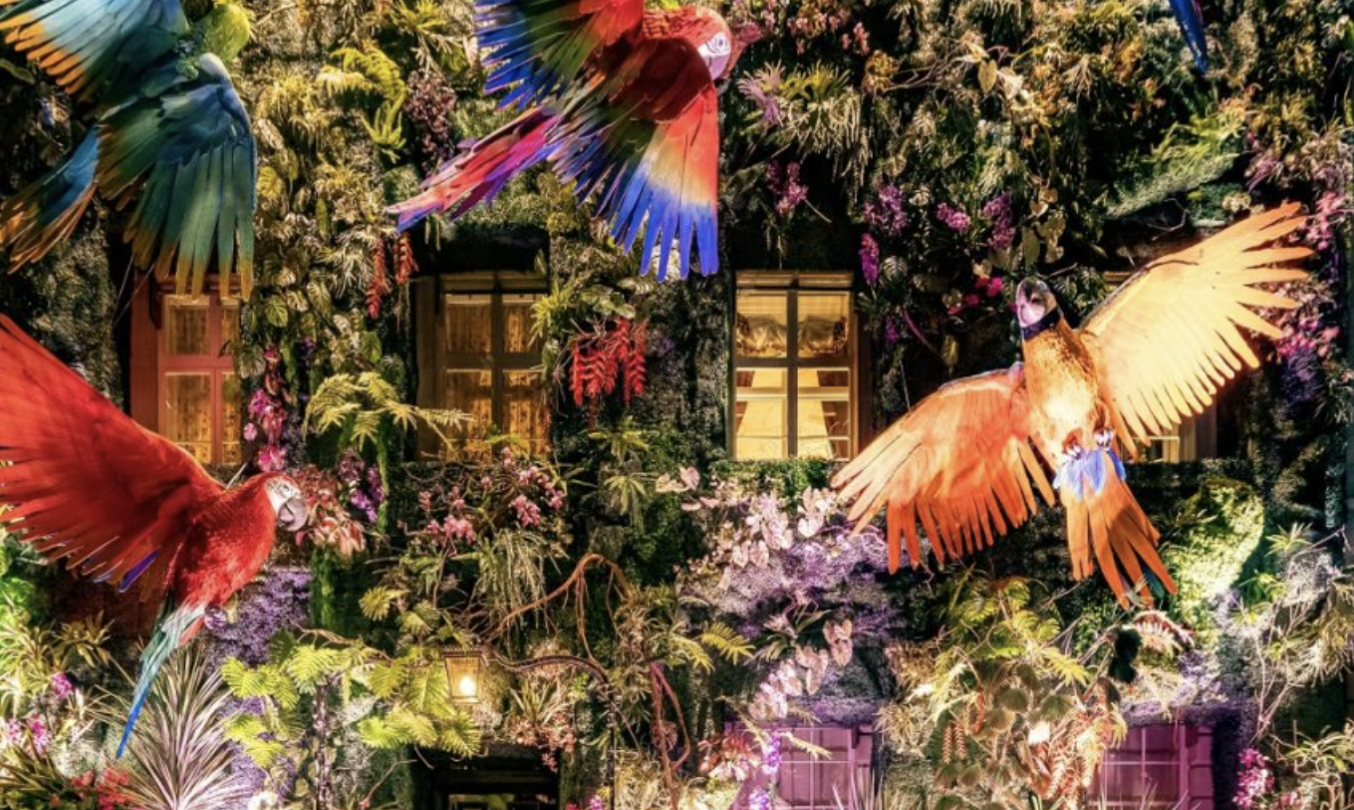 Screenshot 2025-01-06 at 11.00.55